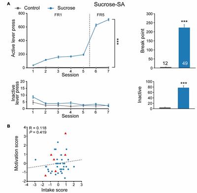 Binge-Like Sucrose Self-Administration Experience Inhibits Cocaine and Sucrose Seeking Behavior in Offspring